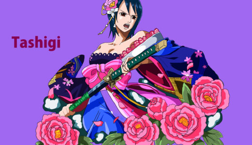 『たしぎ』キャラクター紹介（ONE PIECE）