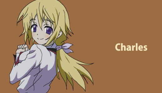 『シャルロット・デュノア』キャラクター紹介（IS 〈インフィニット・ストラトス〉）