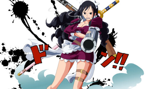 『ベビー5』キャラクター紹介（ONE PIECE）