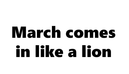 『3月のライオン』