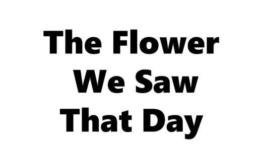 『あの日見た花の名前を僕達はまだ知らない。』