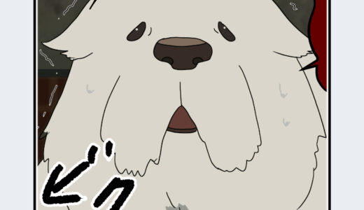 『ボンド・フォージャー』キャラクター紹介（SPY×FAMILY）