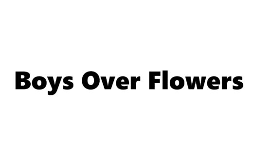 『花より男子』