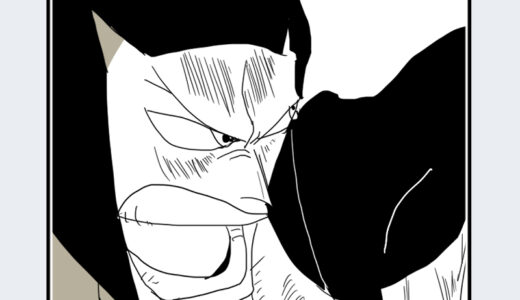 『チャカ』キャラクター紹介（ONE PIECE）