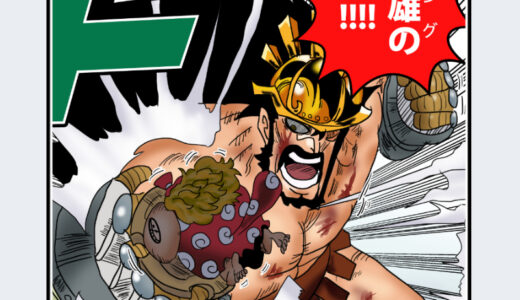 『ハイルディン』キャラクター紹介（ONE PIECE）