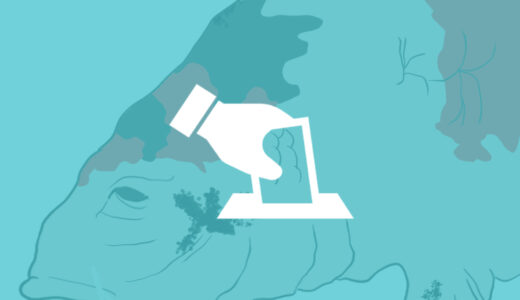 『SEKIRO: SHADOWS DIE TWICE』人気キャラクター投票