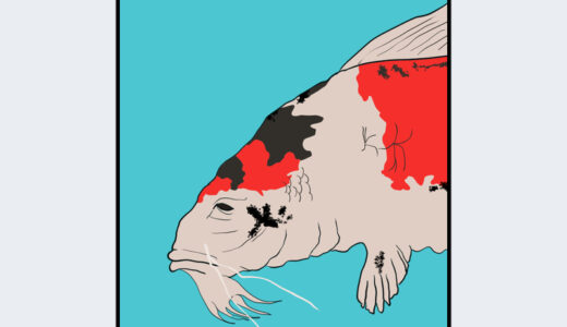 『ぬしの色鯉』キャラクター紹介（SEKIRO: SHADOWS DIE TWICE）