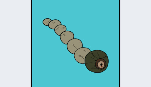 『見張り石』キャラクター紹介（ELDEN RING）